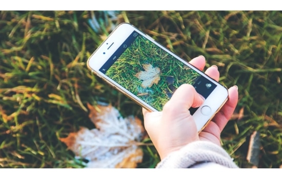 Tu Jardín Inteligente al Alcance