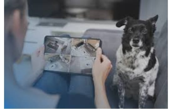 Aplicación Integral para Monitoreo y Cuidado de Mascotas